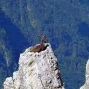 Uyra_tarum adlı kullanıcı